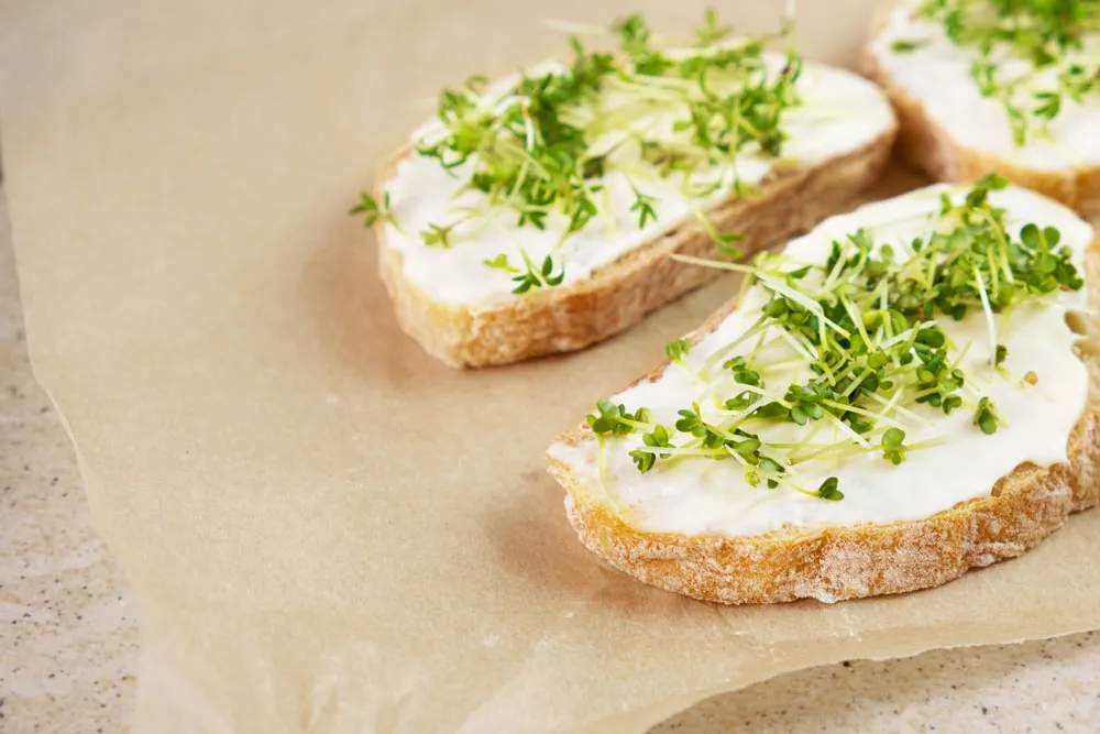 Tartine de cresson